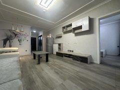 乌鲁木齐米东米东区周边精装电梯两室 采光好 SHOU租 拎包入住出租房源真实图片