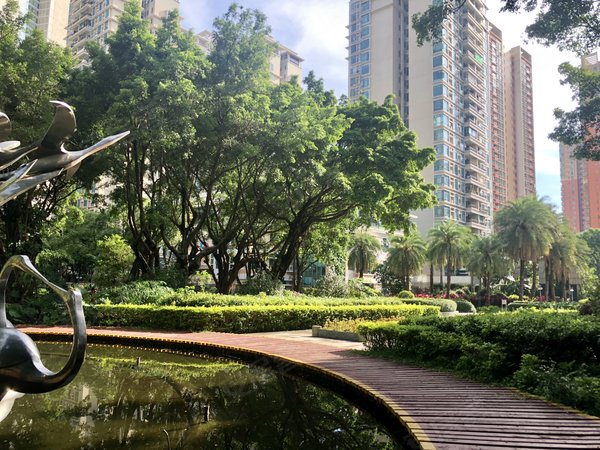 南国花园 正规一房一厅出租 东南向安静望花园 可随时看房,天河租房