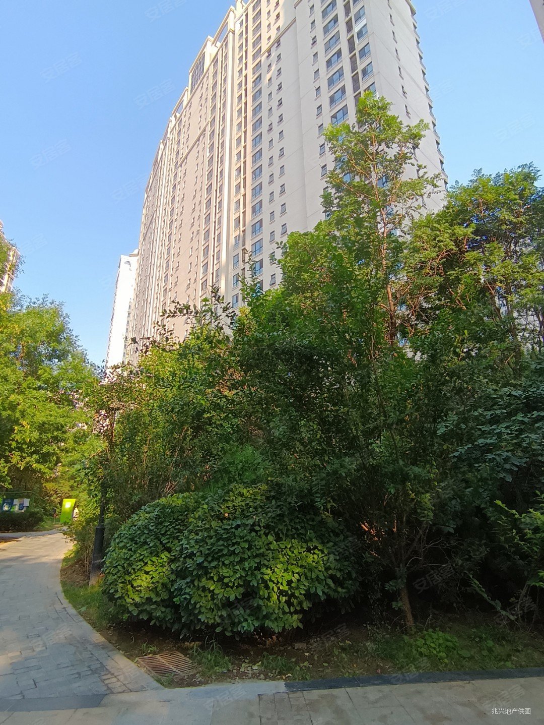 华业东方玫瑰