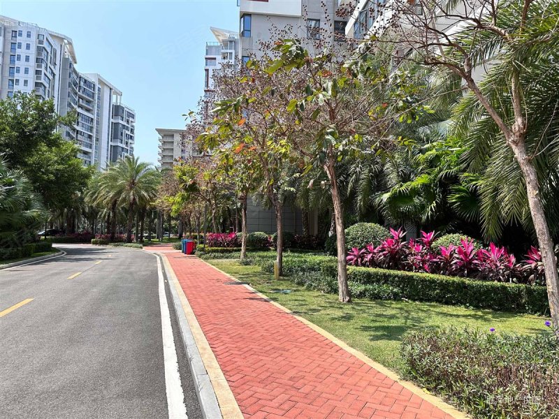 鲁能三亚湾(高三区西区) 南北通透 精装好房 环境好 电梯房