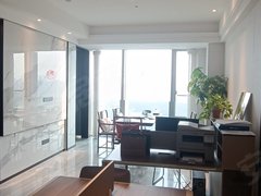 郑州郑东新区北龙湖北龙湖金融岛 97平一室一厅精装出租 随时看房出租房源真实图片