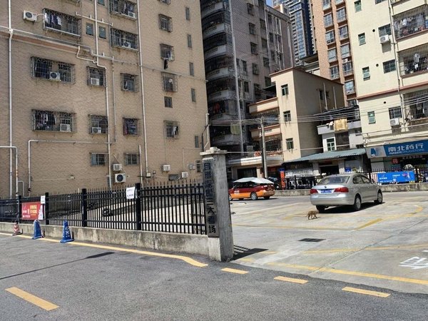 深圳宝安宝安中心区径贝华侨新村1号线坪洲地铁可养宠物民水民电带