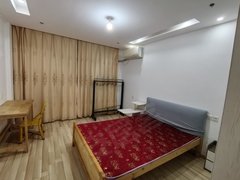 常熟东南开发区东南开发区中心正力 新世附近 薇尼诗花园整租一室一厨一卫 拎包入住 有钥匙出租房源真实图片