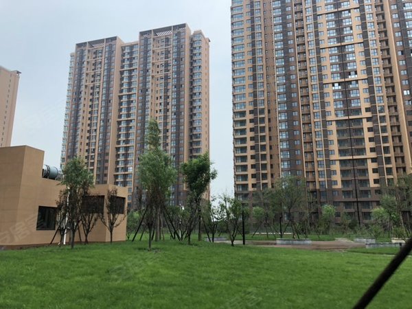 齐河将府锦苑5号院必看好房!