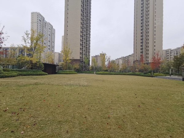 临沂北城新区临沂一中中南鲁商樾府(商住楼)中南鲁商樾府 家具家电