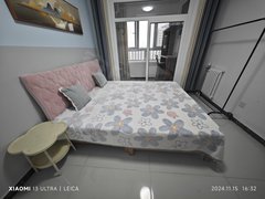 保定莲池河北农大可月付 无押金女生合租动物园 府河公园附近主卧次卧均有拎包住出租房源真实图片