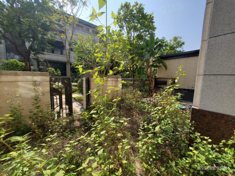 南宁大桥旁,江景边套别墅,环绕大花园,地上三层地下两层