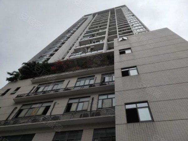 深圳南山南头田厦翡翠明珠花园(商住楼)花园小区网红盘1号线桃园站二