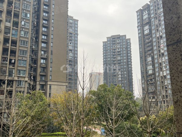 【多图】恒大绿岛新城(e区),绿岛新区租房,配齐 精装 半年付 电梯房 3