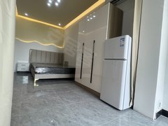 上海闵行浦江个人，地铁8号线（闵瑞路地铁站）带燃气厨房超大卧室出租出租房源真实图片