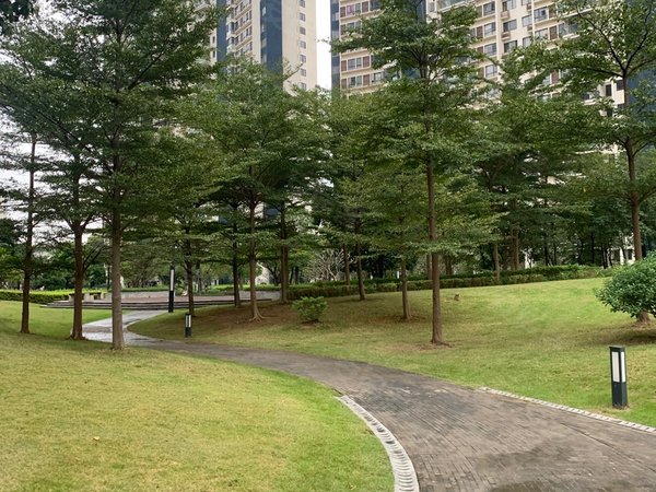 广州花都镜湖大道自由人花园我负责这个小区 房子价格便宜 看房 方便