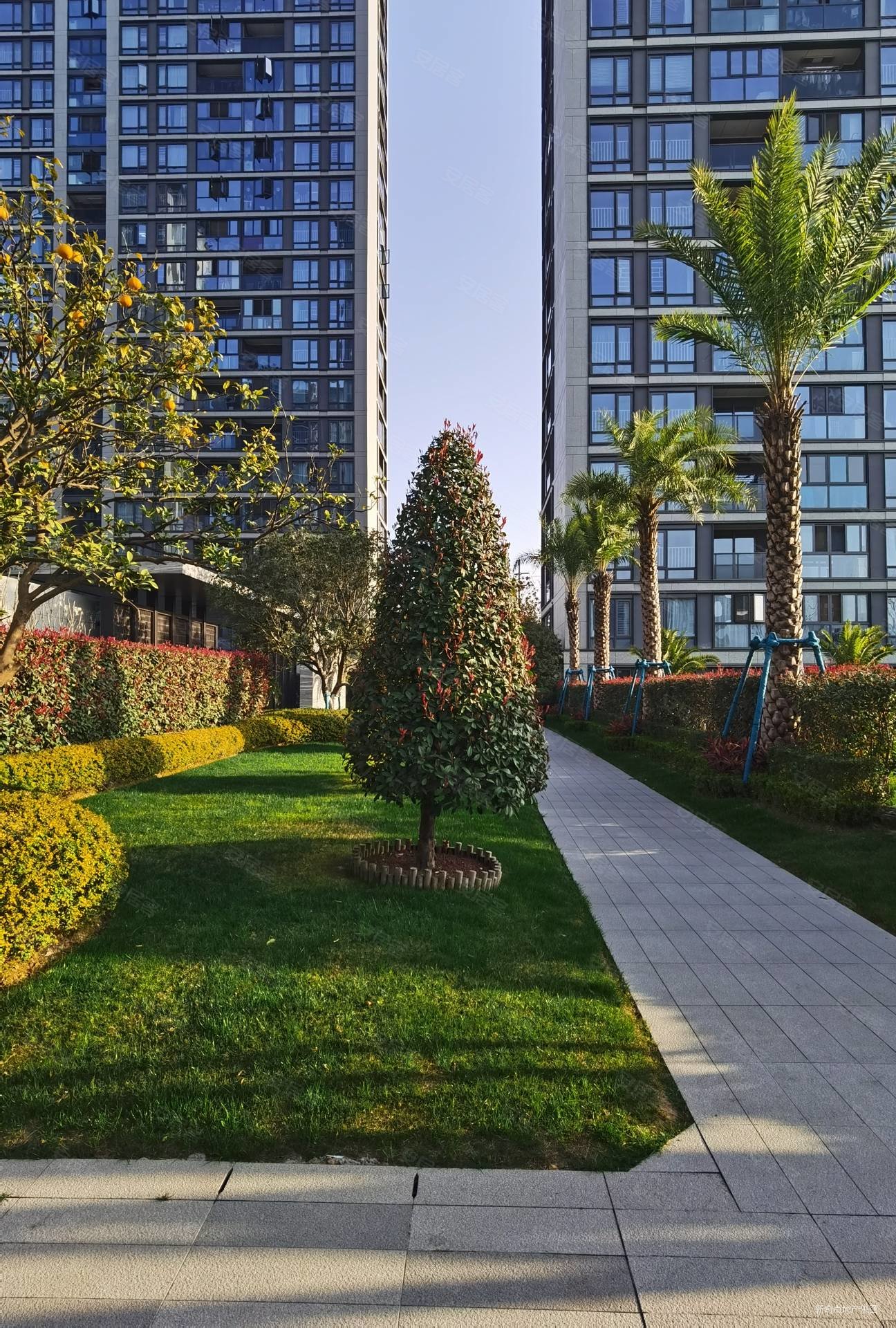 tod科技城 名都苑温州之翼天空之城 专做 在售258套,tod温州之翼二手