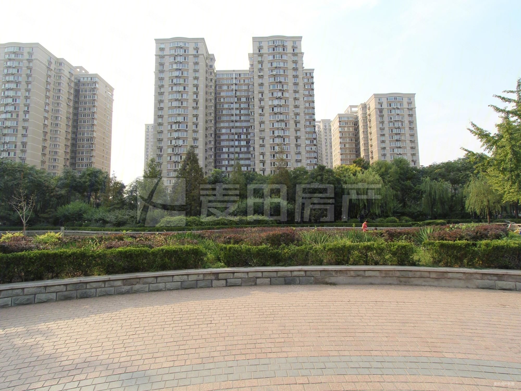 望京西园三区新出总高12层板楼2居室