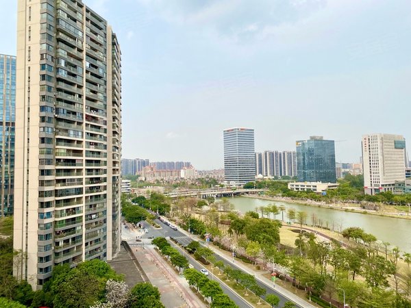 广州南沙金洲中惠璧珑湾中惠壁珑湾 精装三房 配置齐全 一线江景 交通