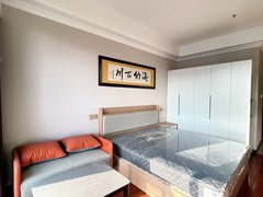 合肥新站火车站落地窗 精装一室 鸭林冲地铁 宝文大厦 火车站 蓝光时代红街出租房源真实图片