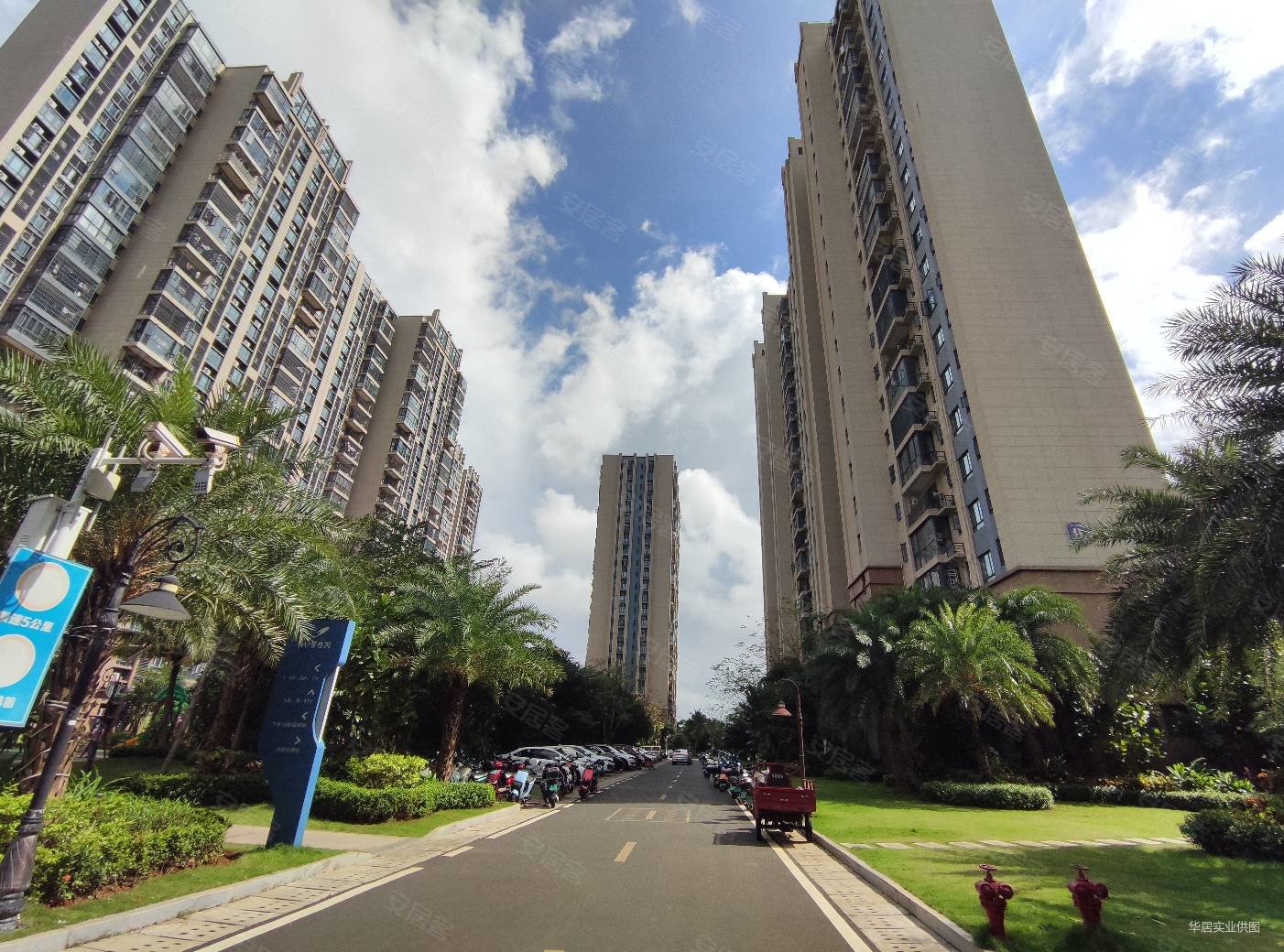 花5米拿碧桂园第二附属医院椰海大道万达广场