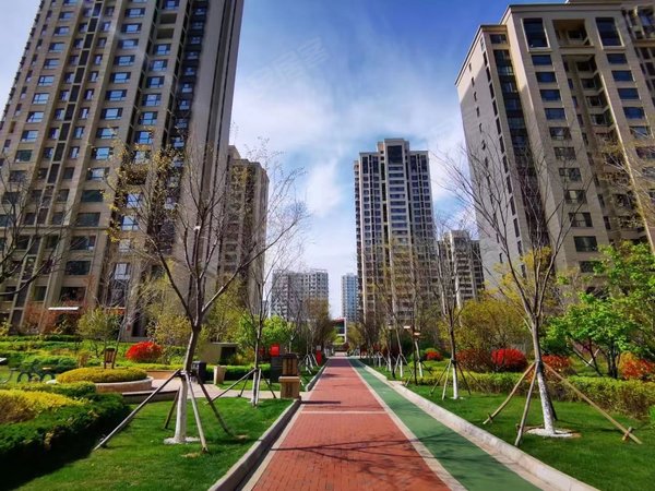 金地悦峰空房出租南北通透精装修采光好,可以长租,,崂山租房-青岛58