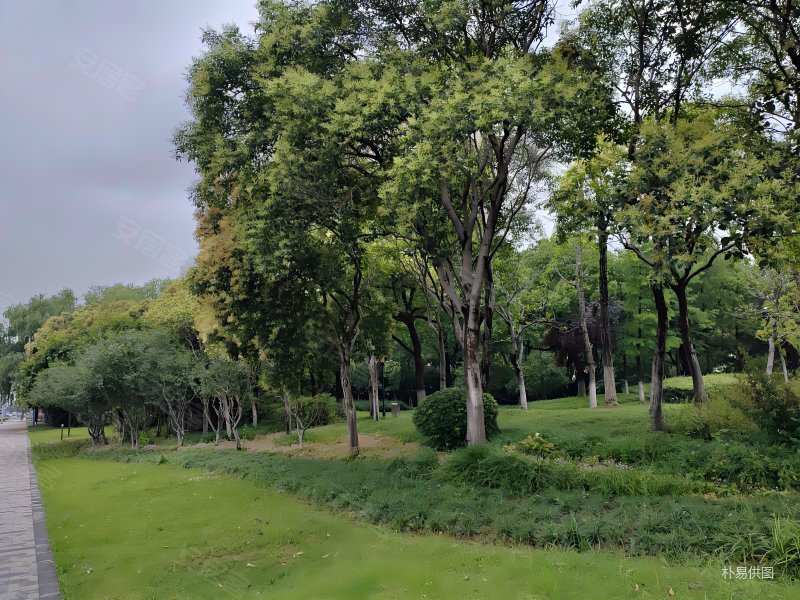 巴比伦花园一楼复试带大露台256平米可做5房急售