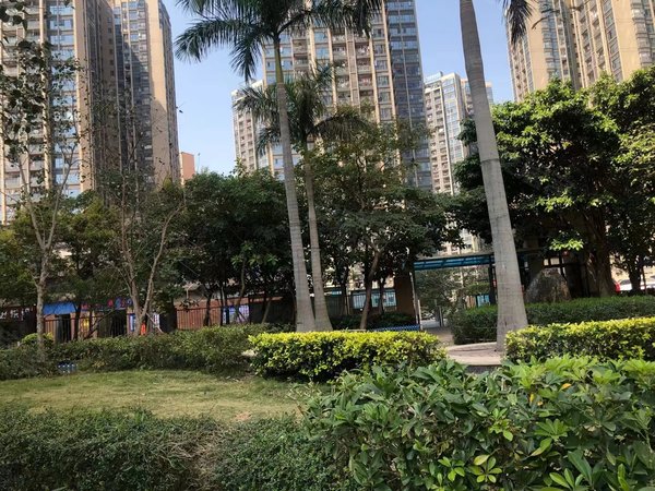 深圳布吉丹竹头中海阅景花园石芽岭地铁口 花园小区高层精装3房2厅
