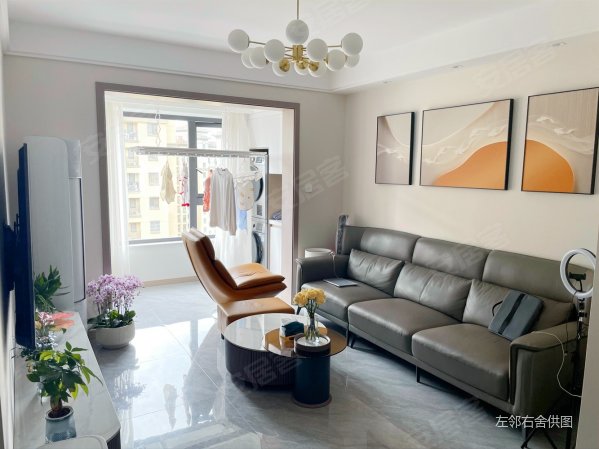 阿卡迪亚二区精装修全屋智能家电