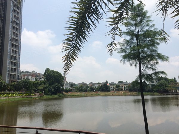 广州番禺万博海印星玥实拍 海印星玥 5.