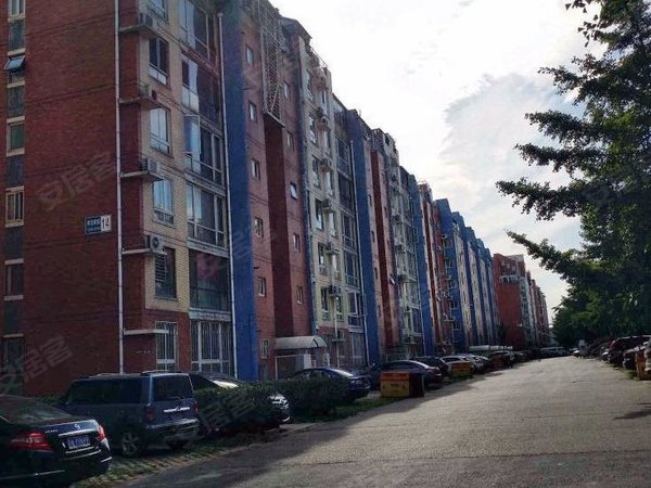 北京大兴旧宫育龙家园旧宫镇 育龙家园主卧带阳台 房子干净人少 底