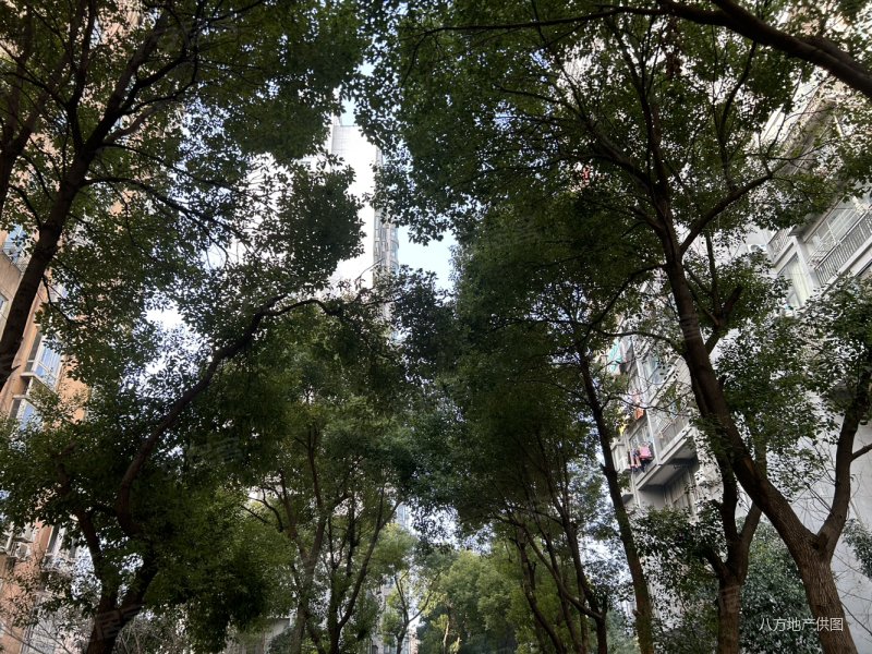 浔阳江畔3室2厅1卫110㎡南北55.5万