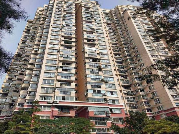 上海浦东陆家嘴菊园实惠的价,神奇的房,保证给您一个舒适的居住环境