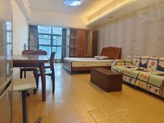 南京江宁科学园城市之光国际公寓 1室1厅1卫 电梯房 豪华装修 南北通透出租房源真实图片