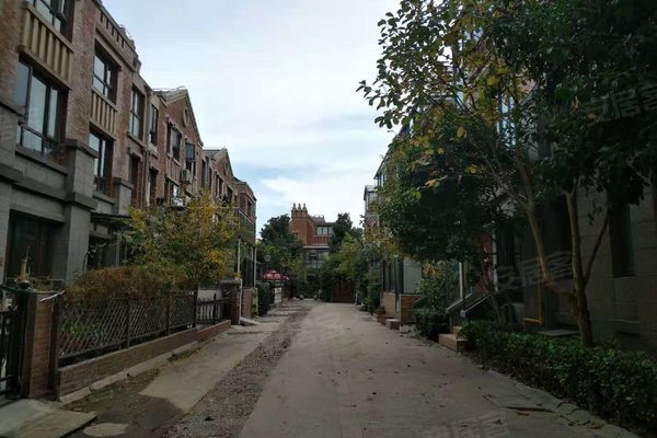 绿地金山名邸(别墅)