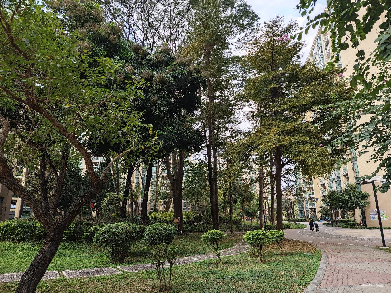 蔚蓝星湖满五三房两厅两卫中高楼层装修保养新