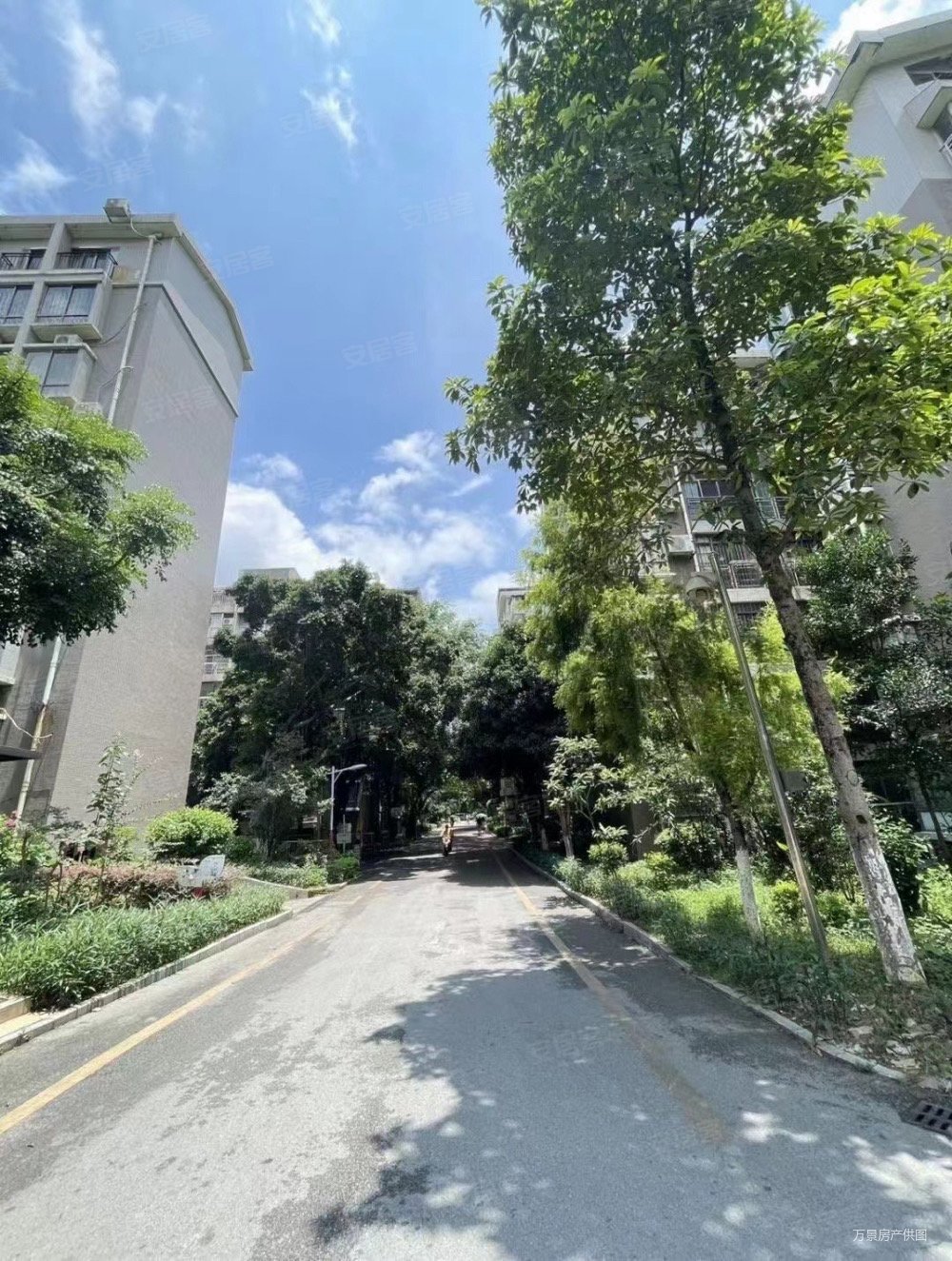 基隆综合区工业品市场住宅二手房,45万,3室2厅,2卫,105平米-柳州安居