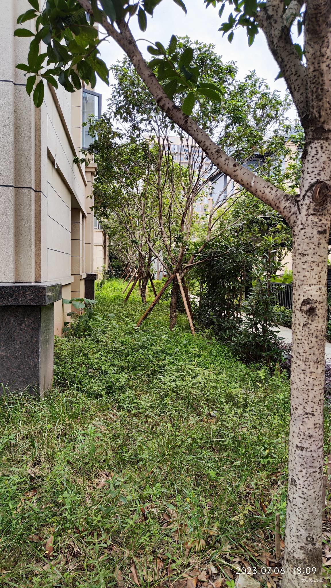 金阳第一农场大学城别墅