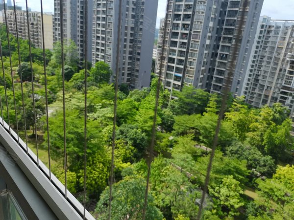 南宁青秀柳沙半岛半山半岛半山精装三房 可配齐家具家电仅租2000 随时