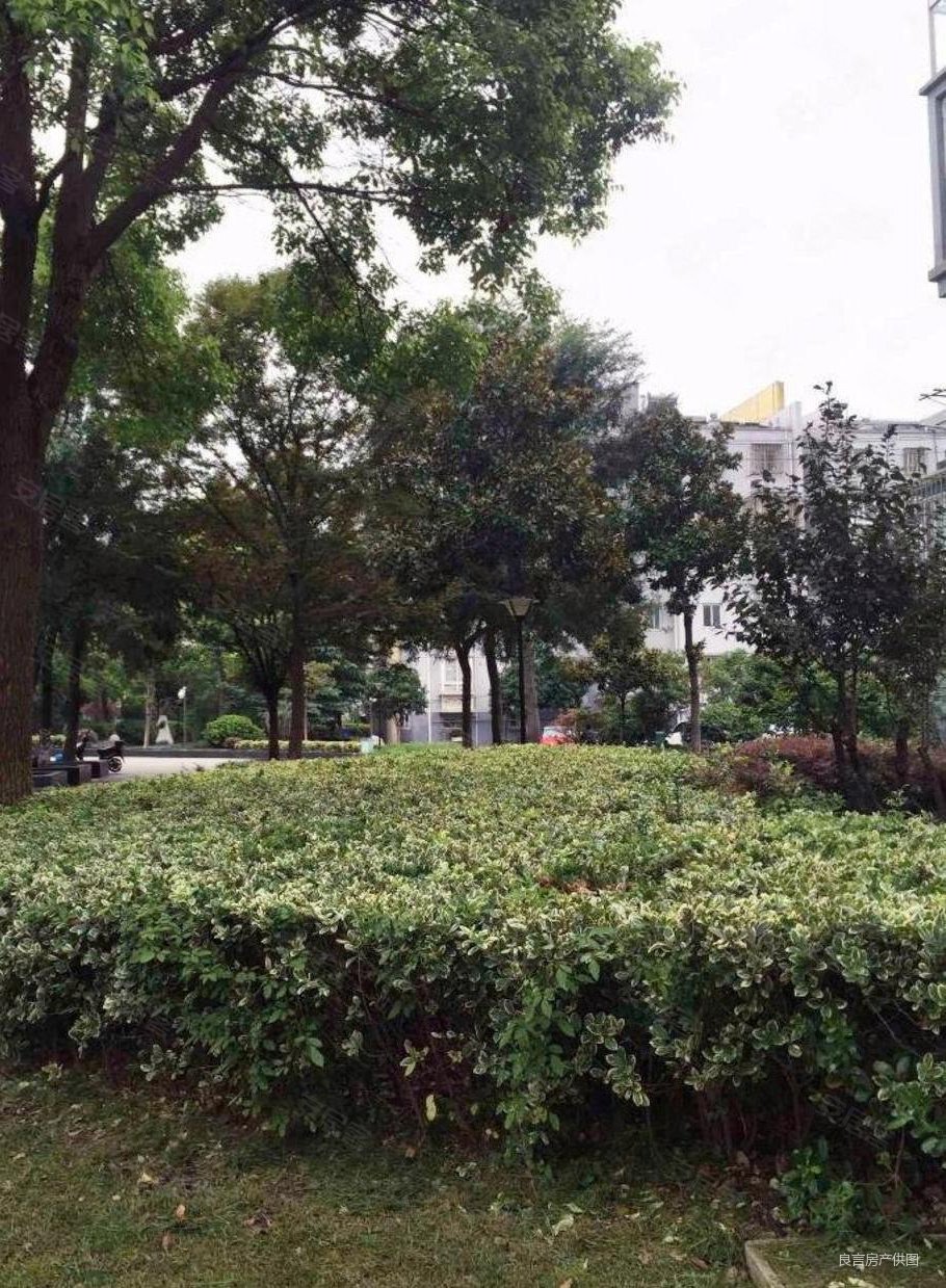 红光花苑2室2厅1卫81.31㎡南北235万