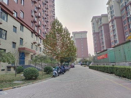 金城新天地