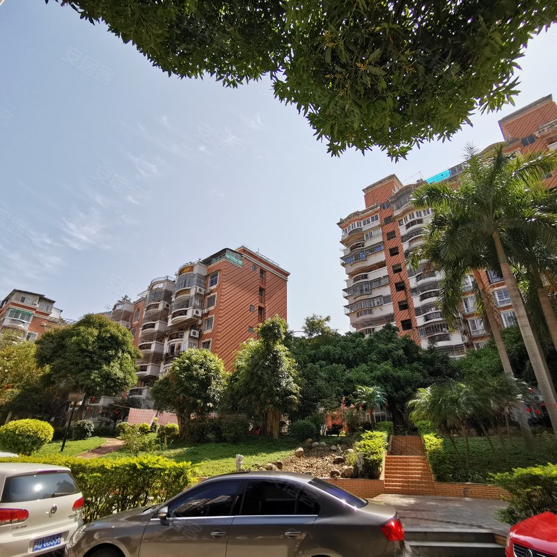 【金枫园, 金枫园小区专家解读页】- 厦门58同城