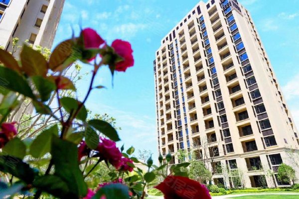 碧桂园凤鸣海尚(公寓住宅)