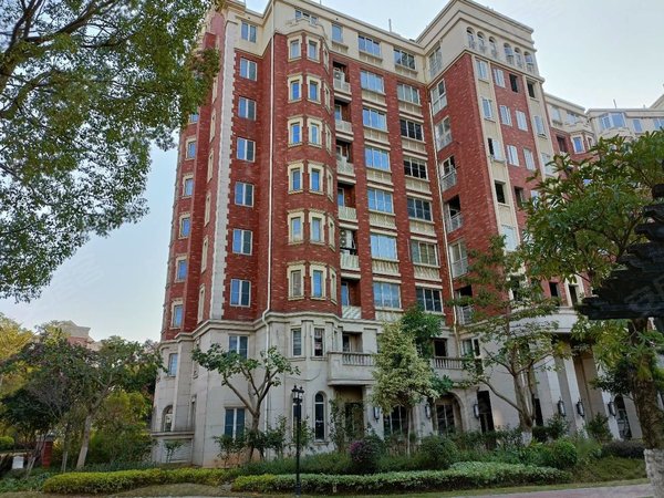 泉州丰泽云鹿路宝珊花园宝珊花园239平出租,全新精装可住家8000南北