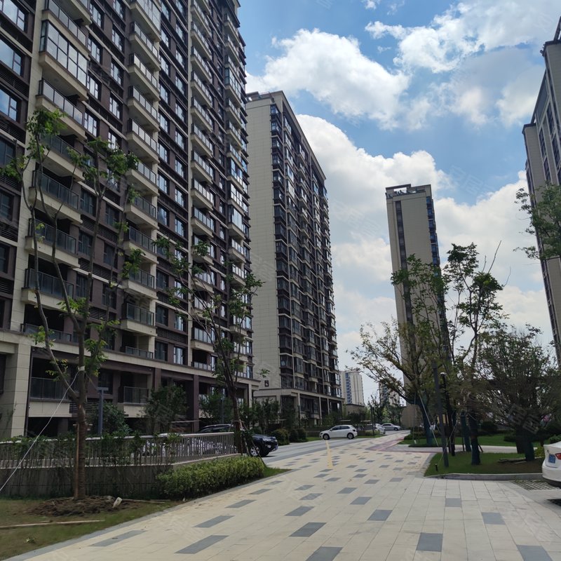 泊云庭专家解读