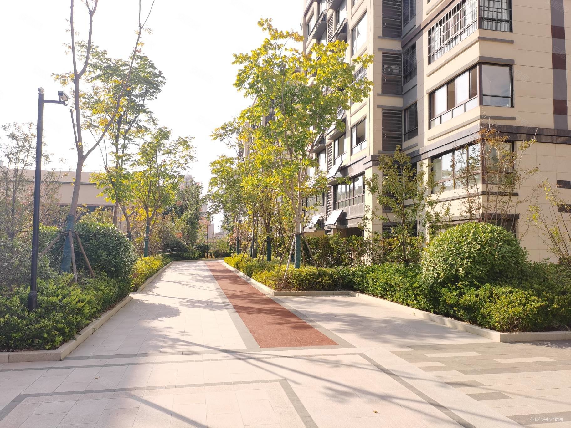 荣盛书香府邸公园里