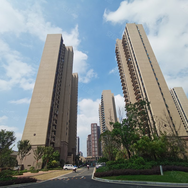碧桂园城市之光