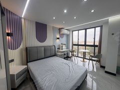 嘉兴嘉善惠民街道惠民日善附近精装阳台落地大单间，押一付一，拎包入住可短租出租房源真实图片