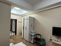 洲际公寓 1室1厅1卫 电梯房 精装修 50平