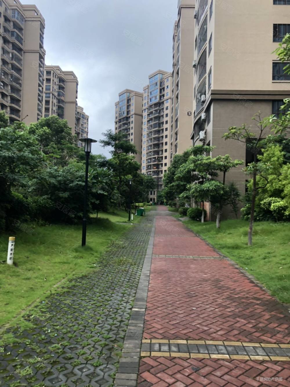 房东诚意出售,南安商圈,大霞美丽景新城,电梯高层,高性价比