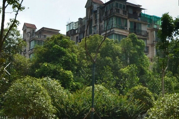 静园山庄(别墅)怎么样,静园山庄(别墅)周边房产中介经纪人评价-长沙