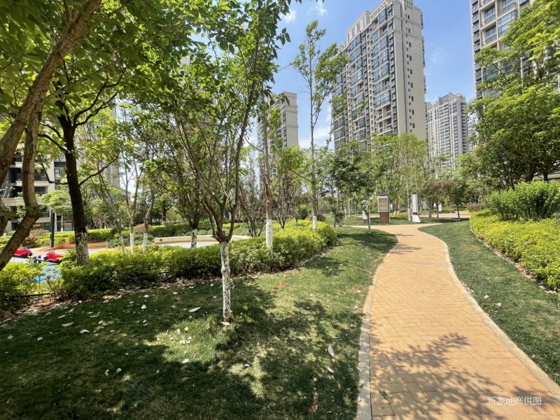 精装3房,全新未住过人,一口价72万,满二,保利阳光城翡丽公园(一期)