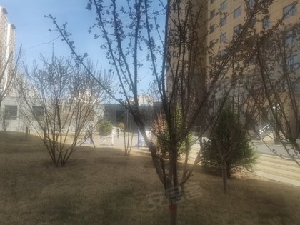 御西景苑,御河西路 - 大同御西景苑二手房,租房,房价-大同安居客