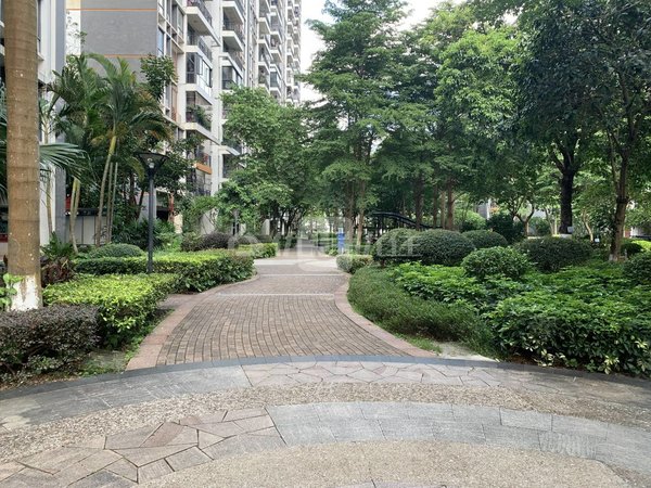 【多图】阳光新城蓝波湾,大沙田租房,4号五象岭地铁口 蓝波湾精装大3