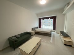 东莞黄江天虹星光城 1室0厅1卫  电梯房 精装修43平米出租房源真实图片